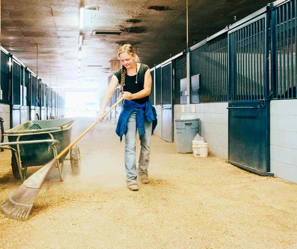 Curatare ferme pasari si animale - solutii profesionale pentru igiena si siguranta Kimicar